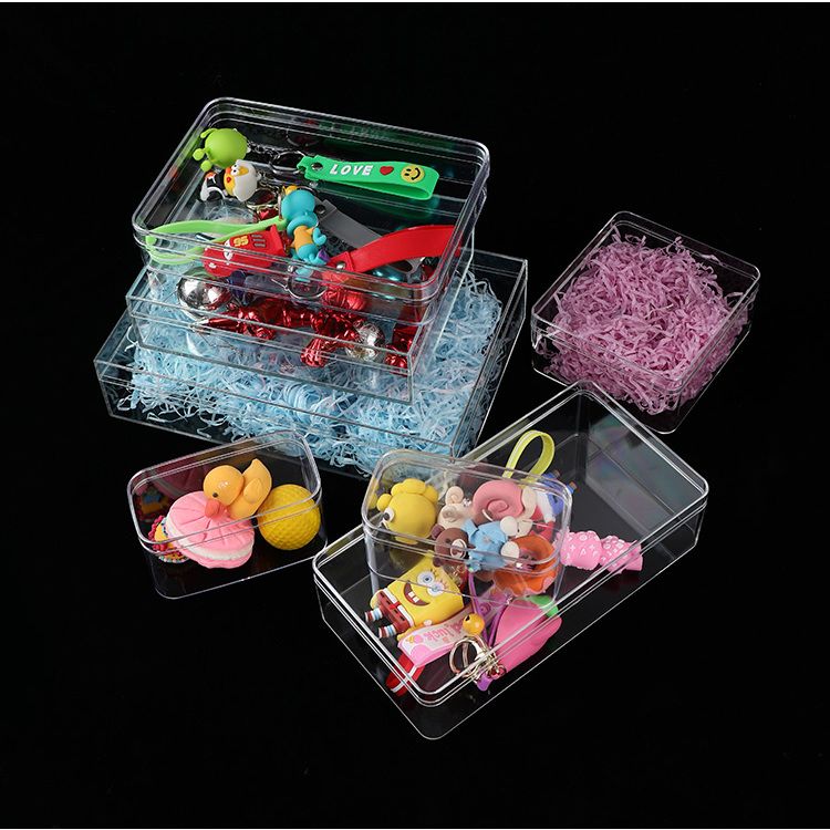Doorzichtige Acryl Dozen Met D - Acrylic Powder Clear recensie en prijs